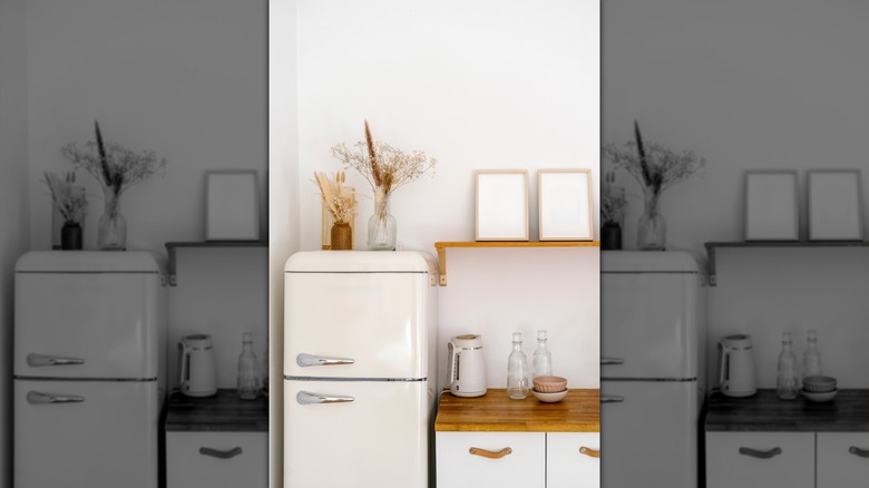 Fridge freezer with items placed on top