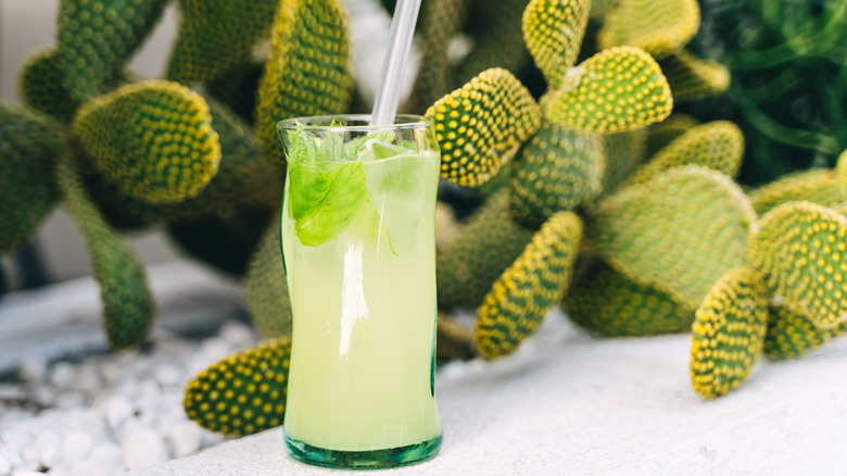 Soju mojito and cactus
