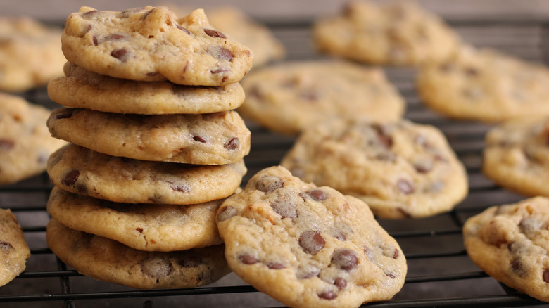 chocolate chip walnut cookies