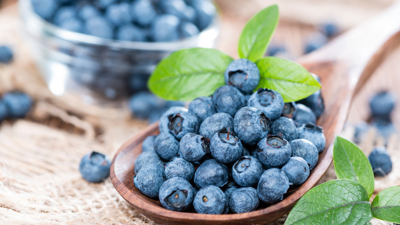 Heap of fresh blueberries on a wooden spoon