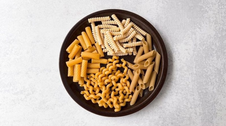 Fusilli, penne, cavatappi, and rigatoni dried pastas on plate
