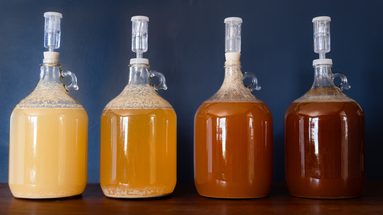 Four carboys with airlocks