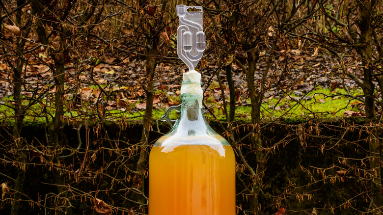 Filled carboy with airlock