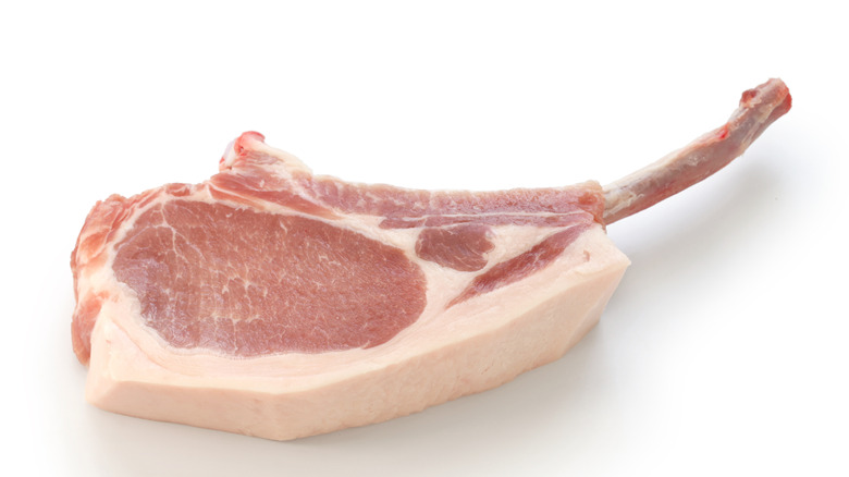 raw french pork chop isolated on white background