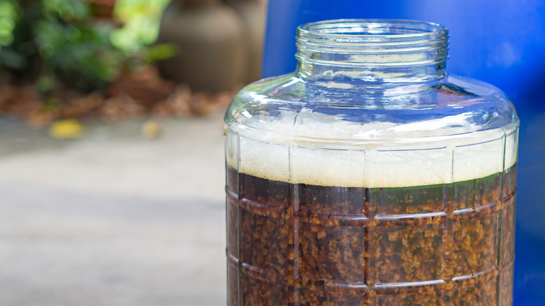 open fermentation container with foam, barley, and malt