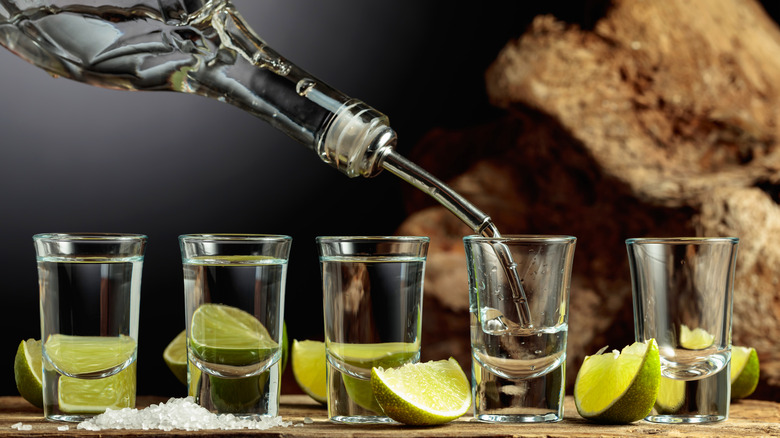 Several shot glasses in a row filled with tequila