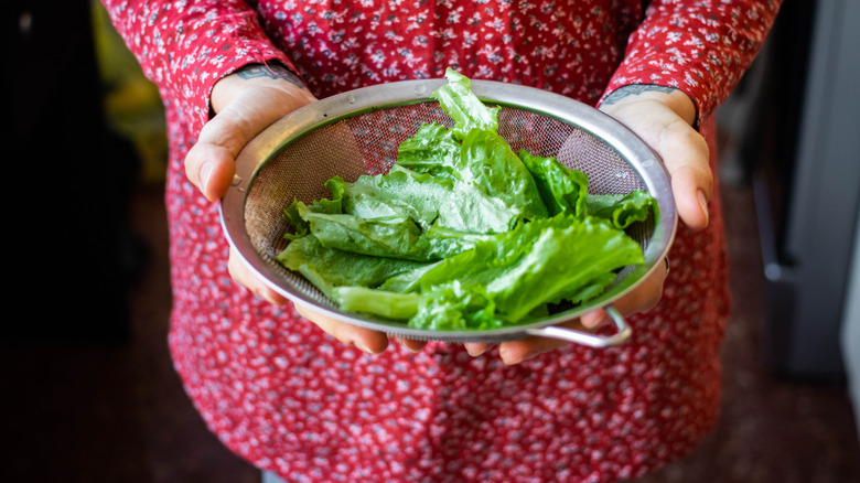 Hands hold wet lettuce leaves in a strainer