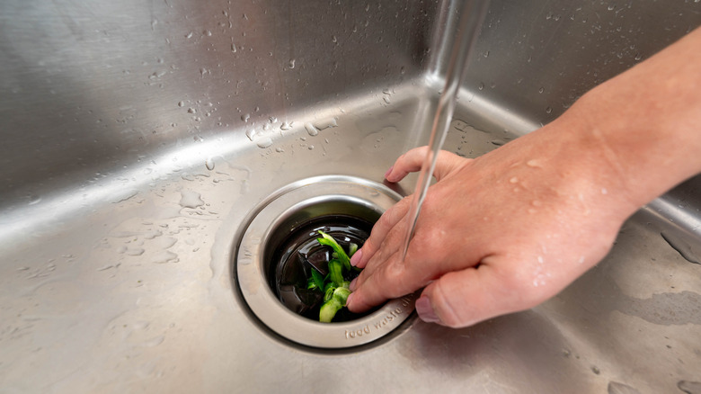 Person's hand in sink above garbage disposal