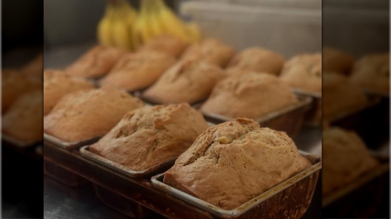 Rows of baked banana bread loaves in pans with two bunches of bananas in back