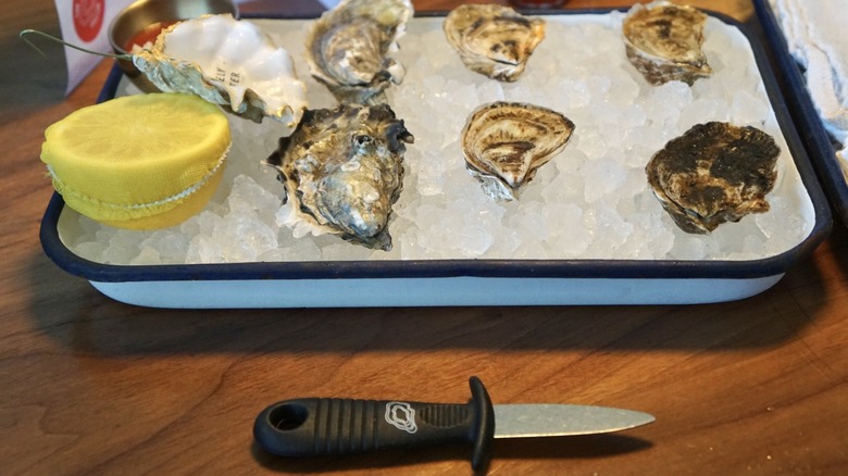 Oysters and shucking knife