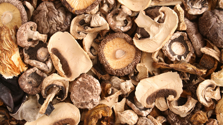 Different varieties of dried mushrooms