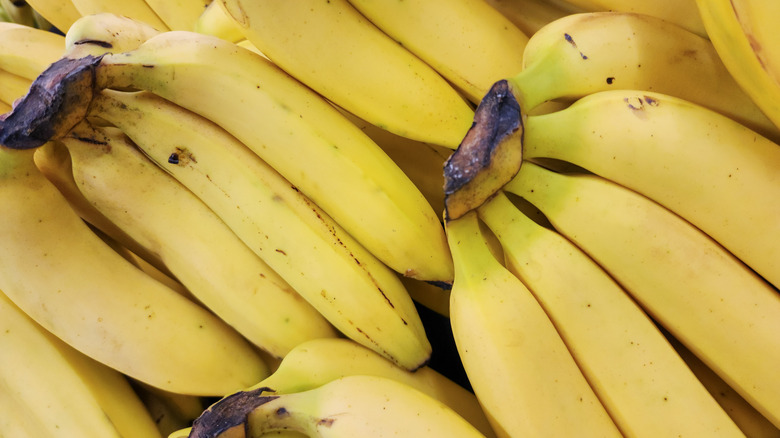 Bunches of ripe, yellow bananas