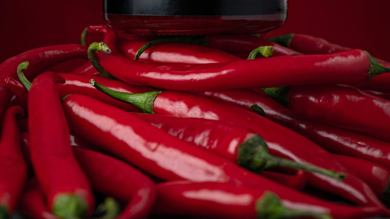 Jar of harissa sitting on top of red peppers