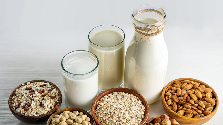 Variety of plant-based milk