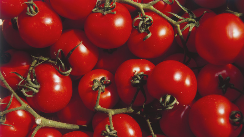 A pile of stemmed, bright red tomatoes