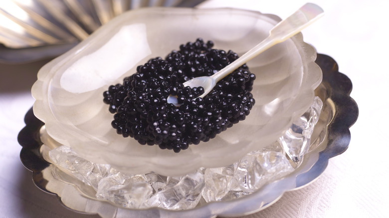 A dish of caviar on ice with a mother-of-pearl spoon