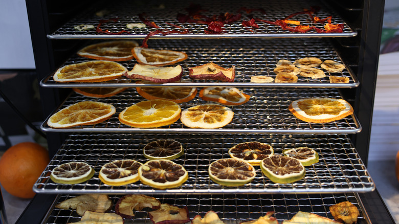 dried oranges and apple slices