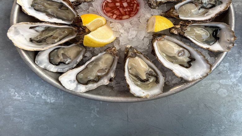 Oysters on the half shell are arranged on a platter.
