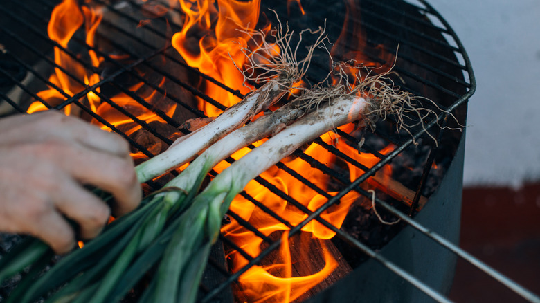 Cambray onions being grilled