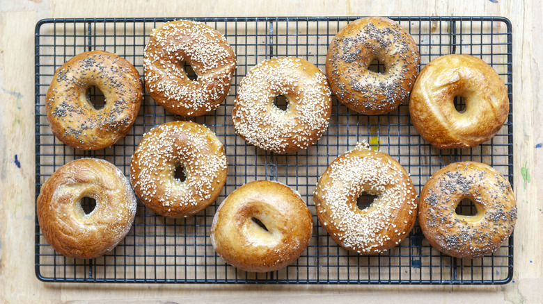 ten bagels arranged on wire cooling rack