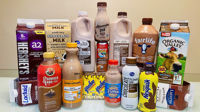 Collection of different brands of chocolate milk