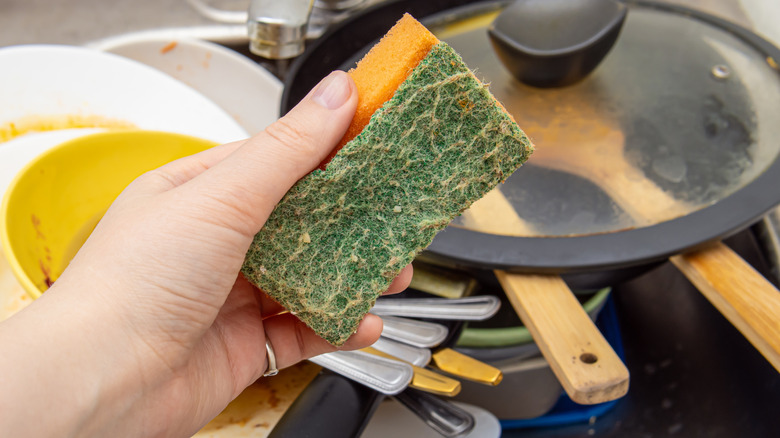 Woman holds dirty sponge with plates in background