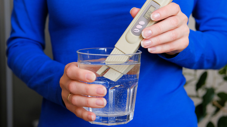 Person testing the pH level of a glass of water