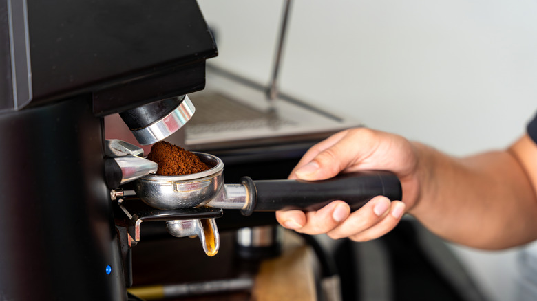 barista holding a tool with freshly ground coffee
