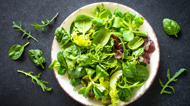 Green salad leaves in a white bowl