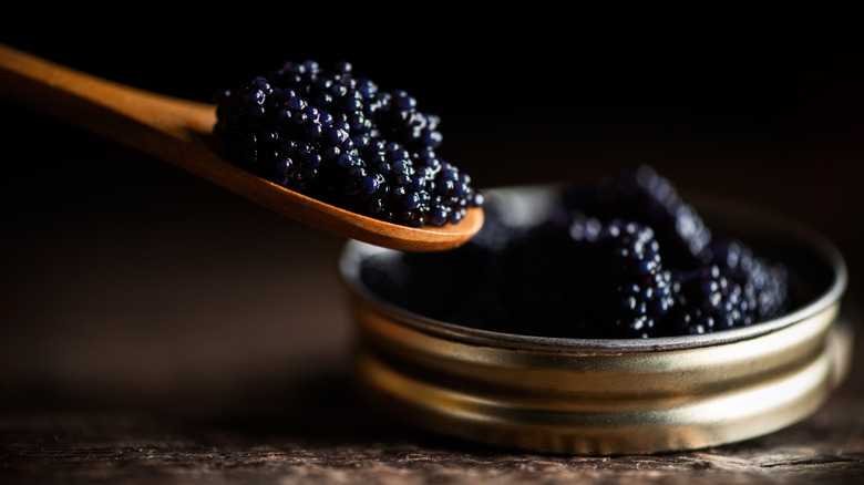 A spoonfull of black caviar hovers near a tin of caviar.