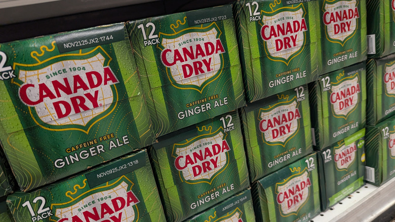 12 packs of Canada Dry ginger ale on shelves at a grocery store