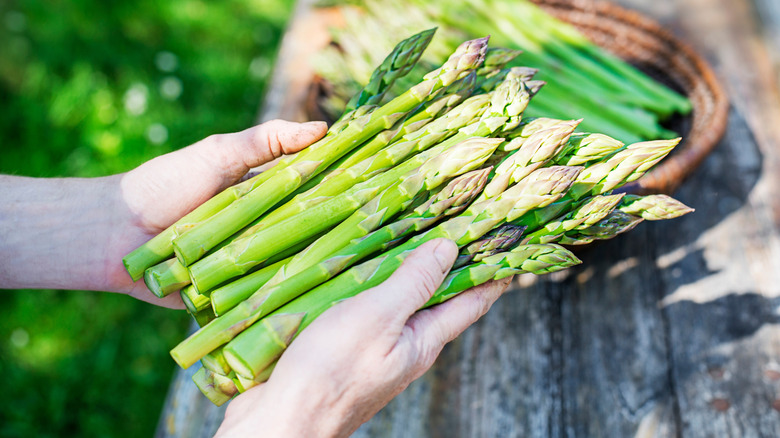 A bunch of fresh asparagus