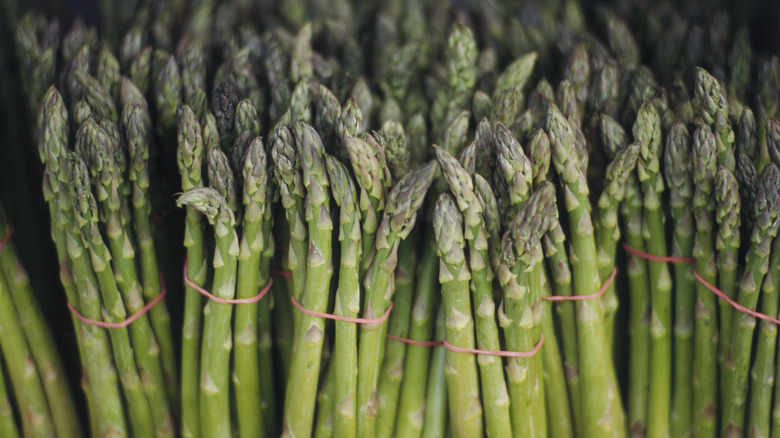 Stalks of green asparagus