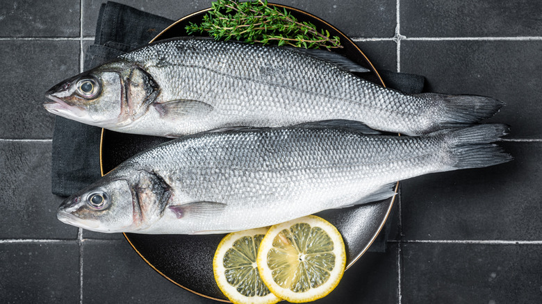Whole fish on dark plate