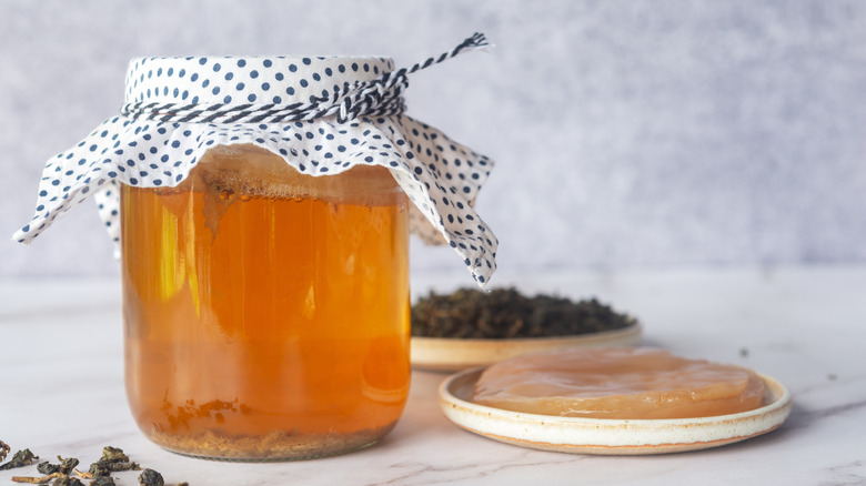 A homebrew fermented kombucha