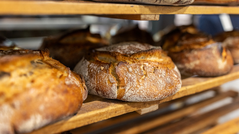 Loaves of sourdough in a bakery