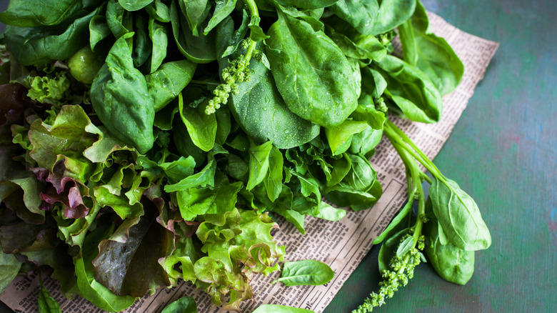 Bunch of green fresh juicy lettuce leaves, arugula and spinach, close-up