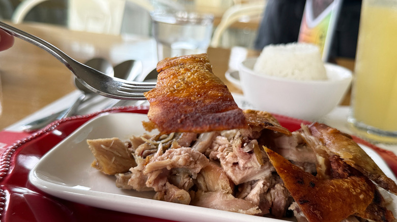 Close up pork lechon with rice