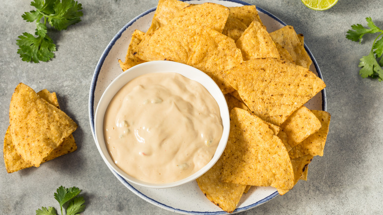 homemade white queso dip with yellow tortilla chips in a white dish surrounded by green herbs