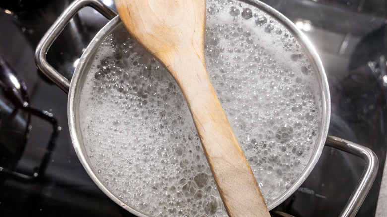 A pot of water boils on the stove.