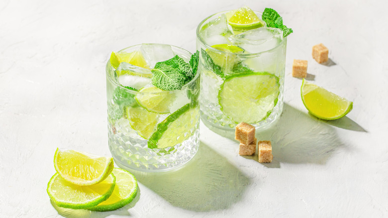 Clear cocktail in a rocks glass with lime wheels and mint garnish