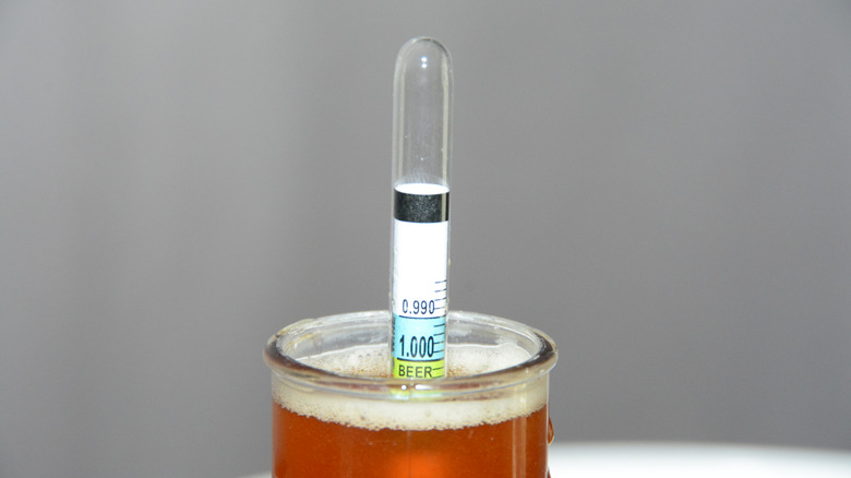 hydrometer measuring gravity of beer