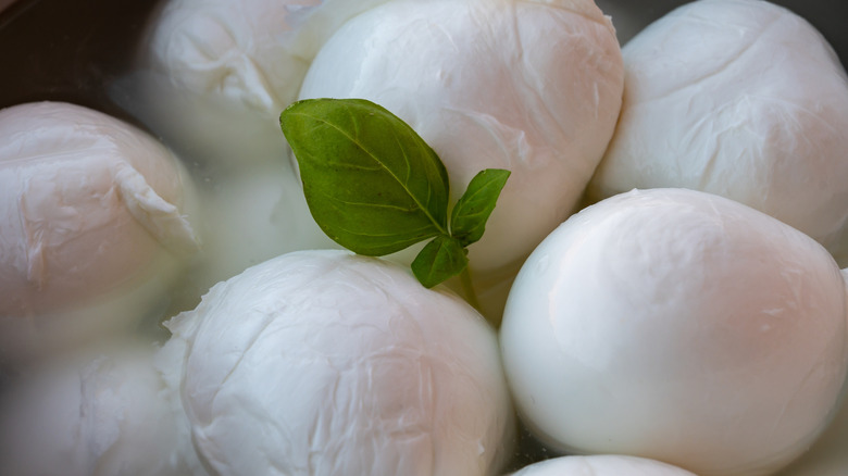 Balls of fresh mozzarella cheese with a basil leaf garnish