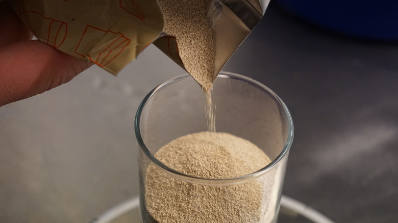 Person pouring yeast in glass