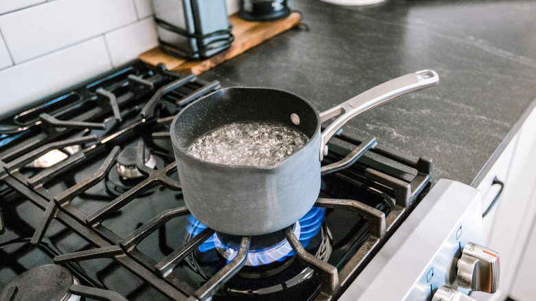 boiling water in a pan on a stovetop