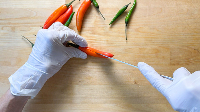 Gloved hands cutting chiles with knife