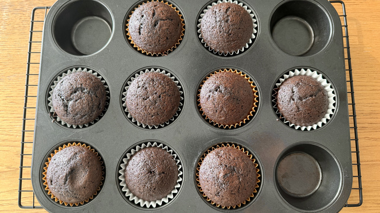 Baked chocolate cupcakes in pan