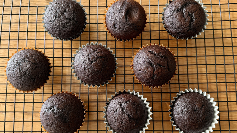 Baked chocolate cupcakes on wire rack