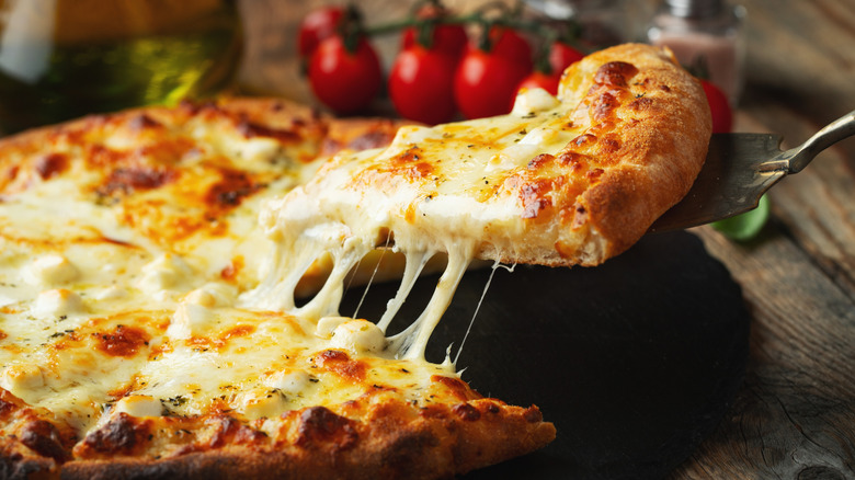 A slice of cheese pizza lifted by a serving spatula