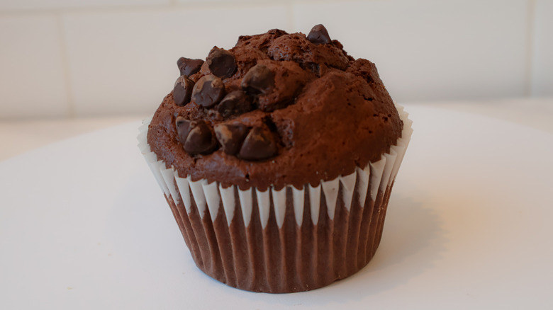 A double chocolate muffin
